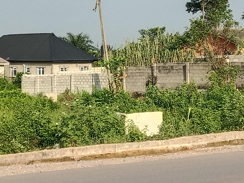 Land for sale along Offin Oreta Road Igbogbo Ikorodu Lagos image